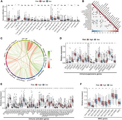 Identification of tumor microenvironment-related signature for predicting prognosis and immunotherapy response in patients with bladder cancer